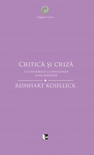 Critică și criză